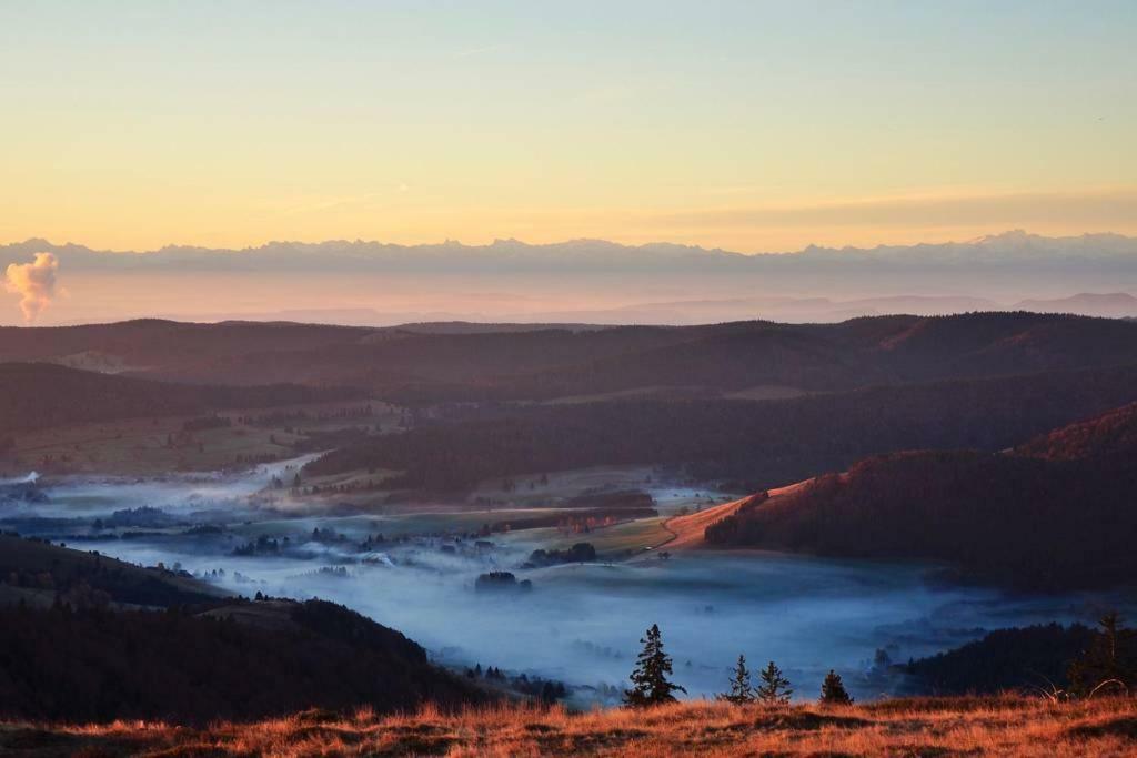 Echtes Schwarzwaldhaus - Traditionell & Modern Bernau im Schwarzwald Eksteriør bilde