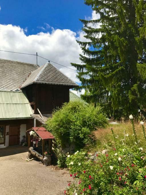 Echtes Schwarzwaldhaus - Traditionell & Modern Bernau im Schwarzwald Eksteriør bilde