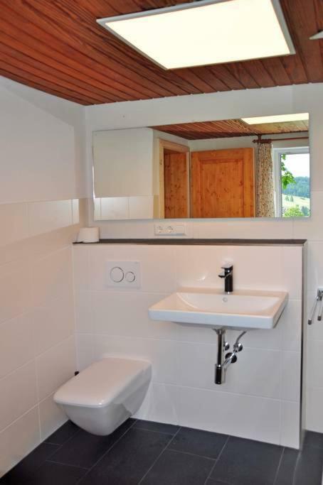 Echtes Schwarzwaldhaus - Traditionell & Modern Bernau im Schwarzwald Eksteriør bilde