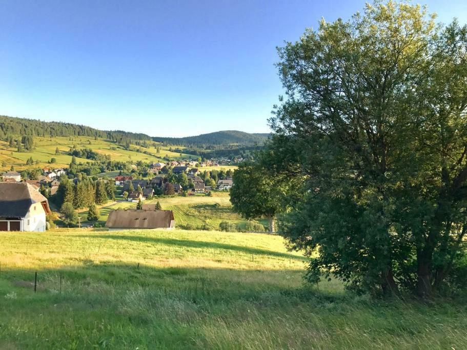 Echtes Schwarzwaldhaus - Traditionell & Modern Bernau im Schwarzwald Eksteriør bilde